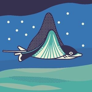 Meet your Posher, Kendall